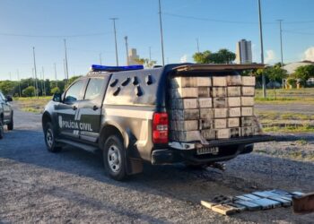 Polícia Civil apreende 328 pacotes de cloridrato de cocaína