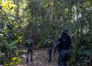 Governo de MT aplicou R$ 937 milhões em multas por crimes ambientais no primeiro semestre