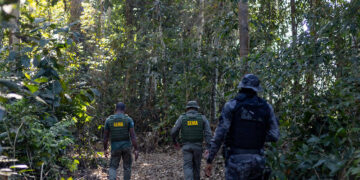 Governo de MT aplicou R$ 937 milhões em multas por crimes ambientais no primeiro semestre