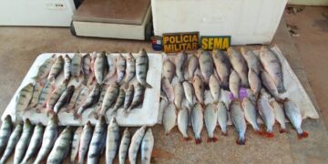 Sema-MT apreende 20 kg de pescado ilegal em Santo Antônio de Leverger