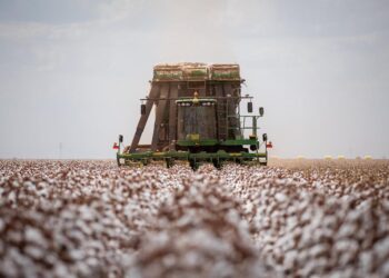 Economia mato-grossense cresce 6,7% no segundo trimestre de 2023