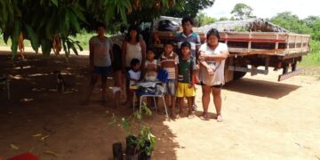 Funai desenvolve ações para promover a segurança alimentar, conservação ambiental e fortalecimento cultural do Povo Xavante