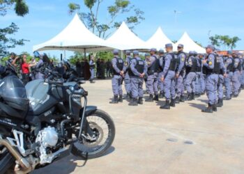 Polícia Militar apreende 600 kg de drogas e conduz mais de 2 mil suspeitos durante operação