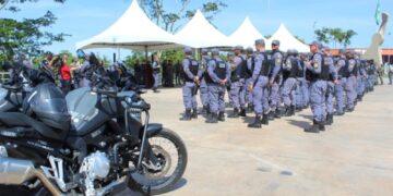 Polícia Militar apreende 600 kg de drogas e conduz mais de 2 mil suspeitos durante operação