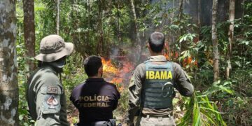 Operações na TI Yanomami já destruíram 78 motores de garimpeiros apenas em 2024