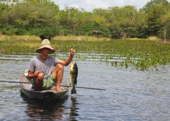 Em 7 dias, Governo de MT deve encaminhar proposta aprimorada ao STF