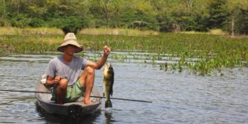 Em 7 dias, Governo de MT deve encaminhar proposta aprimorada ao STF