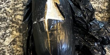 Polícia Penal prende 10 mulheres com carteiras de visitas falsas e drogas escondidas nas partes íntimas