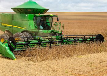 Produtores de soja de MT devem atualizar cadastro de propriedades no Indea