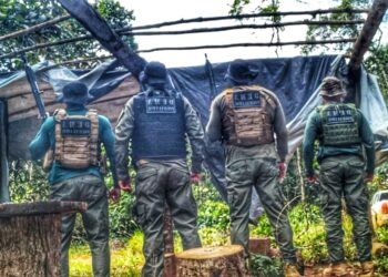 Polícia Civil fecha madeireira em continuidade a operação de combate ao desmate ilegal em Nova Maringá