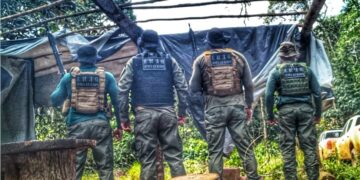 Polícia Civil fecha madeireira em continuidade a operação de combate ao desmate ilegal em Nova Maringá