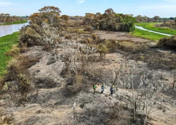 Em período de chuva, MT lidera ranking no país e registra mil focos de queimadas neste ano