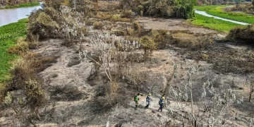 Em período de chuva, MT lidera ranking no país e registra mil focos de queimadas neste ano