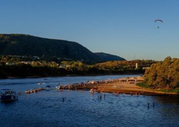 Governo de Mato Grosso abre credenciamento para prestação de serviços em recuperação florestal