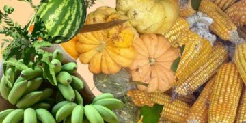 Cibus II será apresentado aos promotores de Justiça nesta segunda