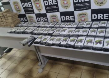Polícia Civil apreende 100 tabletes de cocaína transportados em caminhão de carga