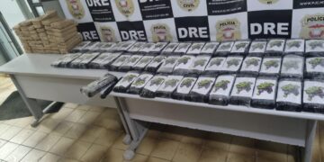 Polícia Civil apreende 100 tabletes de cocaína transportados em caminhão de carga