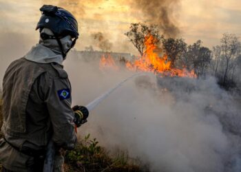 Governo de MT e AMM assinam protocolo inédito para intensificar ações de combate aos incêndios florestais nesta quinta-feira (25)