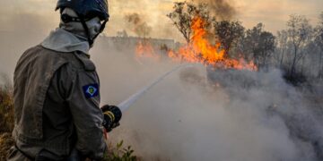 Governo de MT e AMM assinam protocolo inédito para intensificar ações de combate aos incêndios florestais nesta quinta-feira (25)