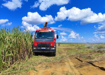 Bombeiros combatem incêndio em vegetação