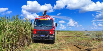 Bombeiros combatem incêndio em vegetação