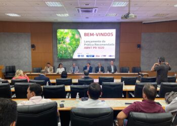 Certificação da madeira de MT nas normas da ABNT vai trazer mais desenvolvimento econômico ao setor