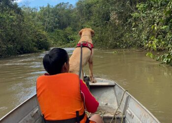 Corpo de Bombeiros Militar resgata corpos de vítimas de afogamento