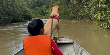 Corpo de Bombeiros Militar resgata corpos de vítimas de afogamento