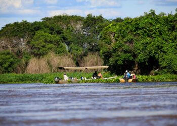 Guias de turismo de MT têm até 21 de abril para se inscrever em curso de qualificação gratuito