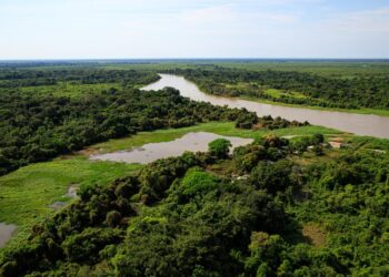 Governo de MT se reúne com proprietários para debater estratégias de prevenção aos incêndios no Pantanal nesta sexta-feira (17)