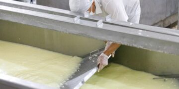 Governo regulamenta normas para manipulação e beneficiamento de produtos da agroindústria familiar em MT