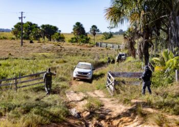 Governo de MT aplicou R$ 478 milhões em multas por crimes ambientais de janeiro a abril