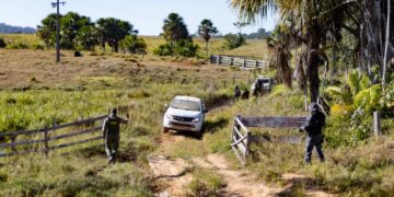 Governo de MT aplicou R$ 478 milhões em multas por crimes ambientais de janeiro a abril