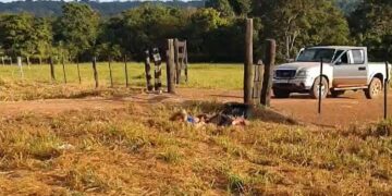 Três trabalhadores são sequestrados em empresa e assassinados em MT