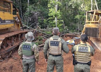 Polícia Civil realiza operação de fiscalização ambiental em propriedades de Feliz Natal e Vera