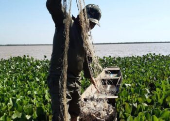 Sema apreende redes, cevas fixas, anzóis e pescado durante operação contra pesca predatória na baixada cuiabana