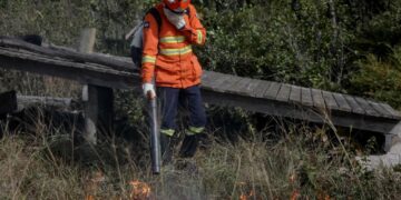 Corpo de Bombeiros alerta população para não fazer uso do fogo: “vamos juntos evitar grandes incêndios”