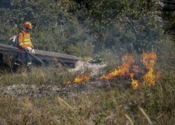 Bombeiros fazem ação preventiva para criar “área de escape” e conter incêndios florestais