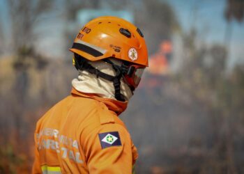 Corpo de Bombeiros combate dois incêndios florestais em Mato Grosso nesta terça-feira (18)