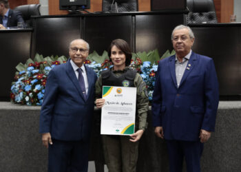 Policiais e bombeiros são homenageados por trabalho desempenhado no RS