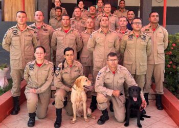 Bombeiros de MT retornam após auxiliar operações de busca e resgate no RS