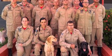 Bombeiros de MT retornam após auxiliar operações de busca e resgate no RS