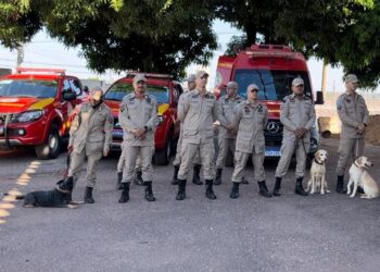 Corpo de Bombeiros de MT envia nova equipe para apoiar em operações de buscas no Rio Grande do Sul