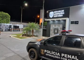 Sesp inaugura núcleo de operações para treinamento de cães em penitenciária de Sinop