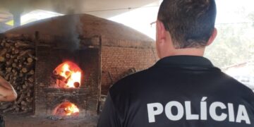 Polícia Civil incinera quase 150 quilos de cloridrato de cocaína em Barra do Garças