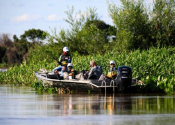 Ministro do STF nega liminar e mantém Lei do Transporte Zero