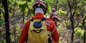 Corpo de Bombeiros continua combate a incêndio florestal em Cáceres nesta quarta-feira (03)