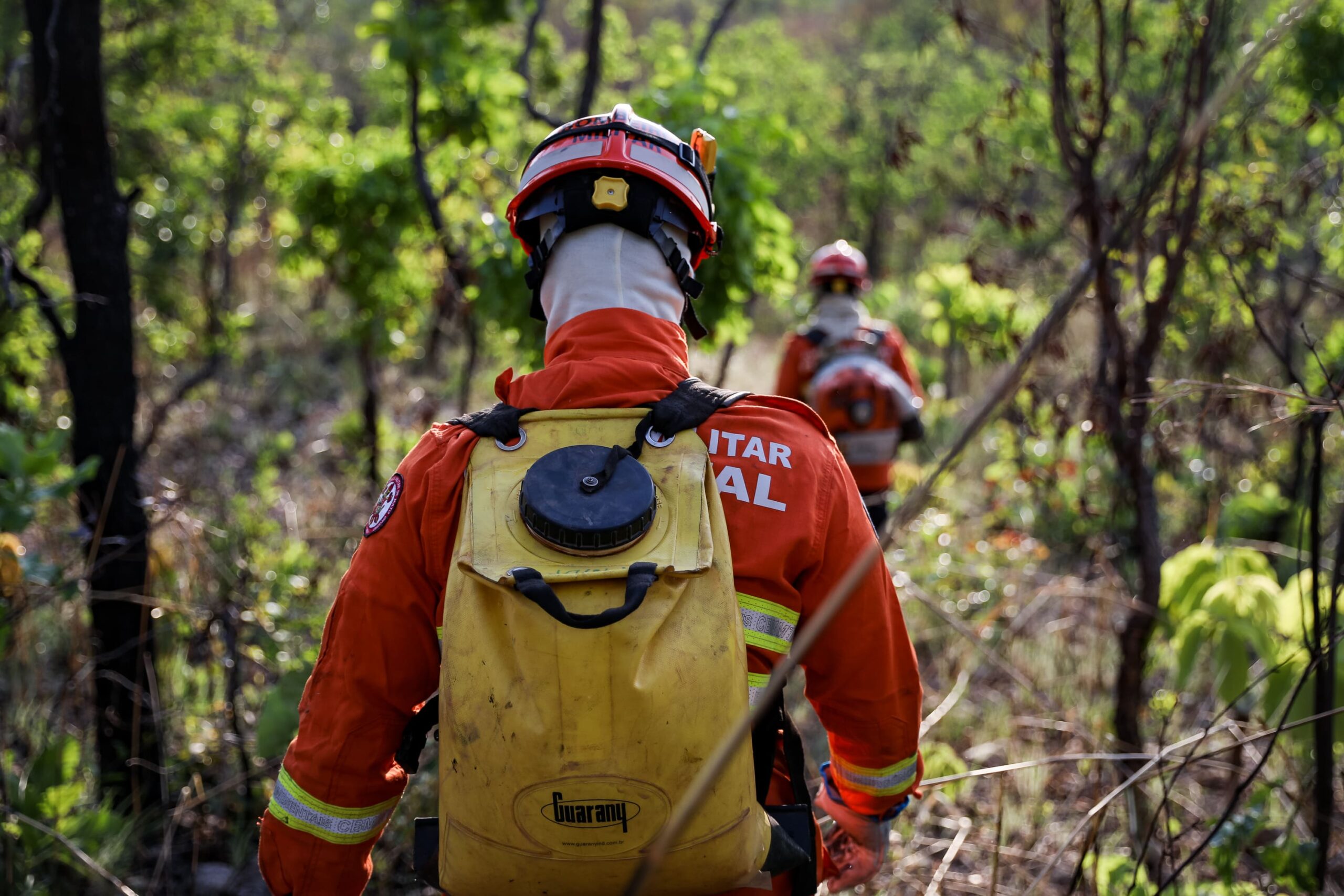 Corpo de Bombeiros combate 12 incêndios florestais em Mato Grosso nesta terça-feira (30)