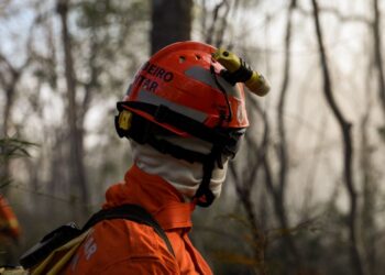 Corpo de Bombeiros de MT segue combatendo incêndio no lado de Cáceres do Pantanal nesta terça-feira (02)