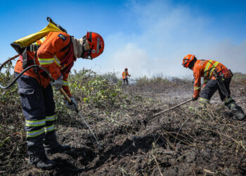 Corpo de Bombeiros segue no combate ao incêndio no Pantanal nesta quarta-feira (10)